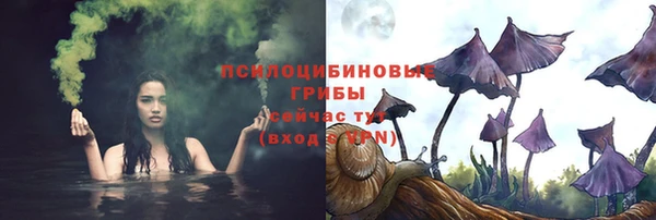 соль курить ск Алзамай