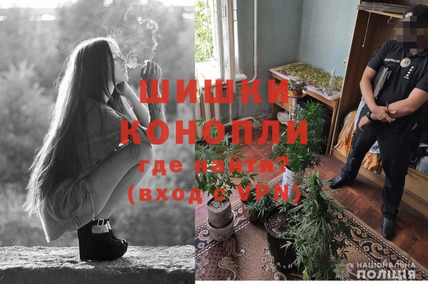 спайс Алексеевка